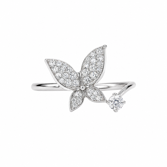 Fluttera Lumière